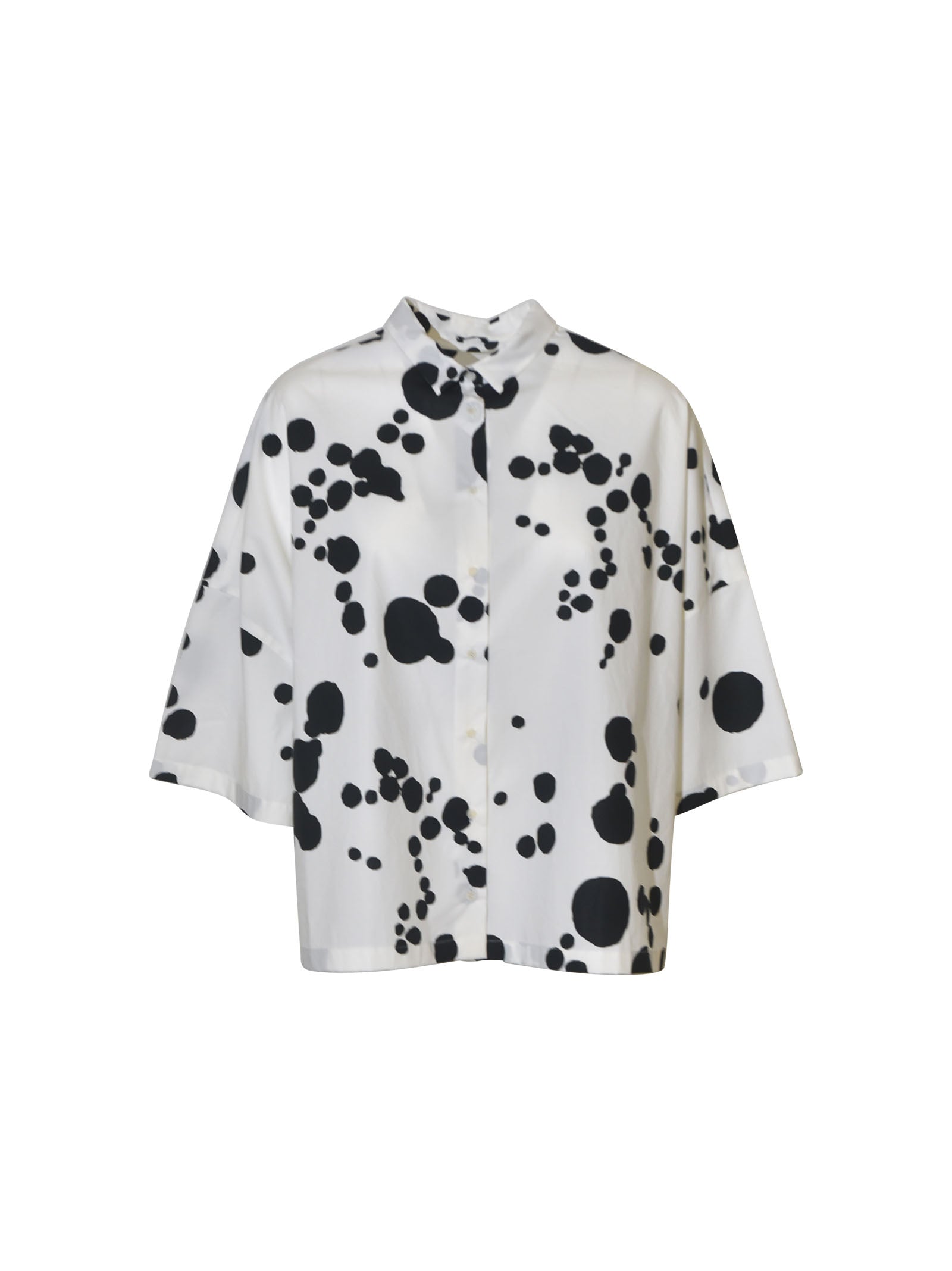 camicia m/m scatola 