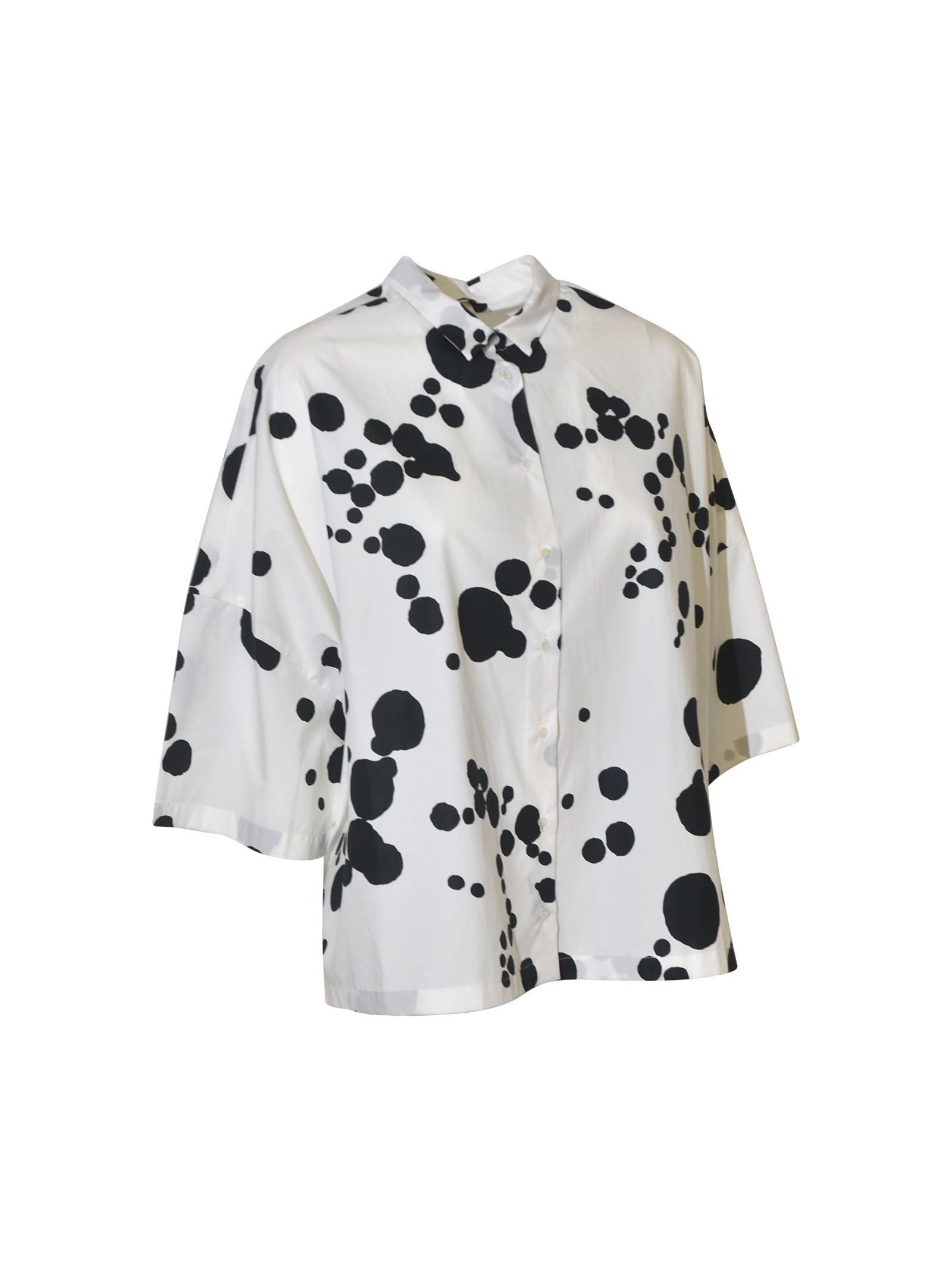camicia m/m scatola 