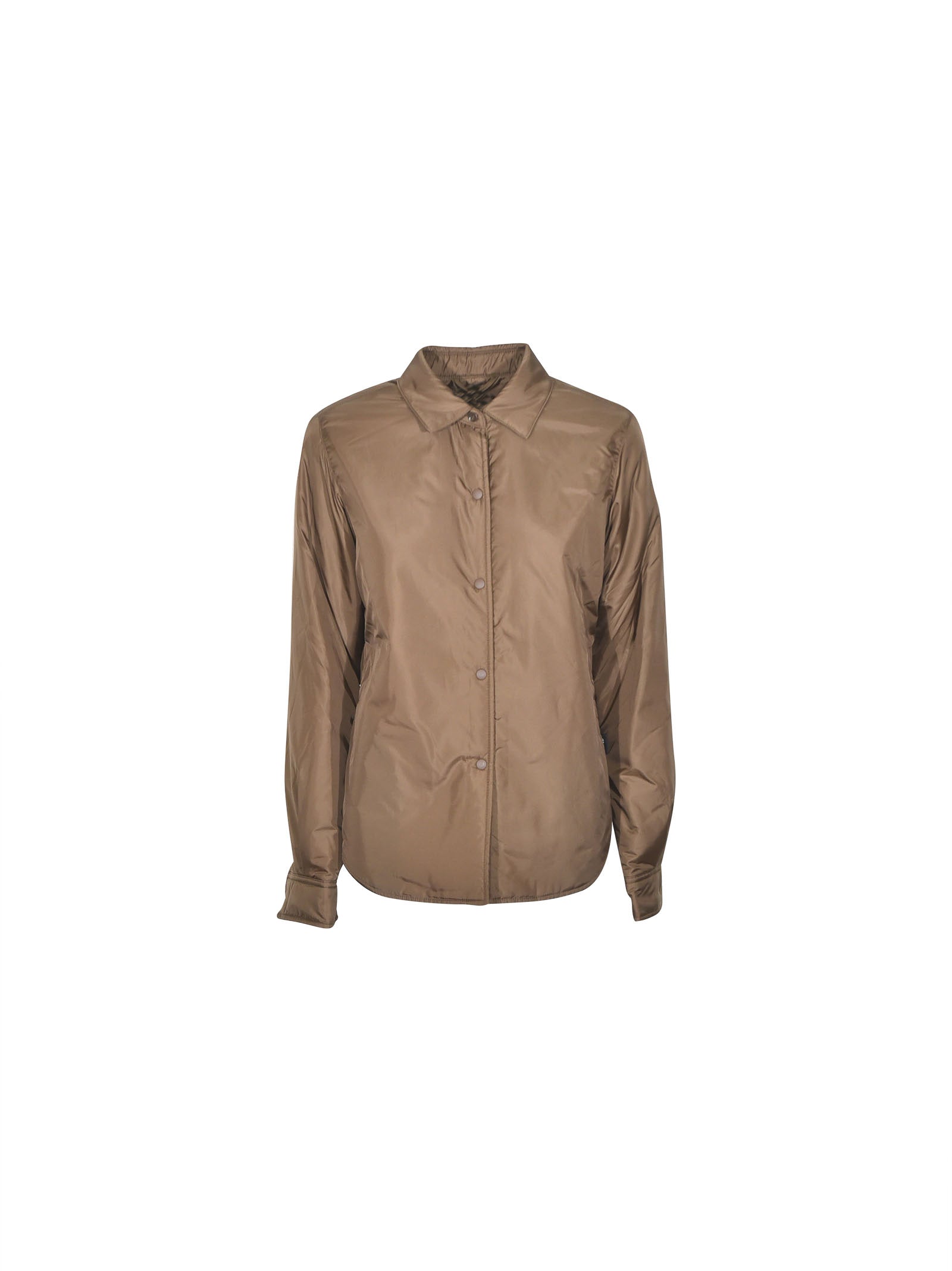 camicia glue 