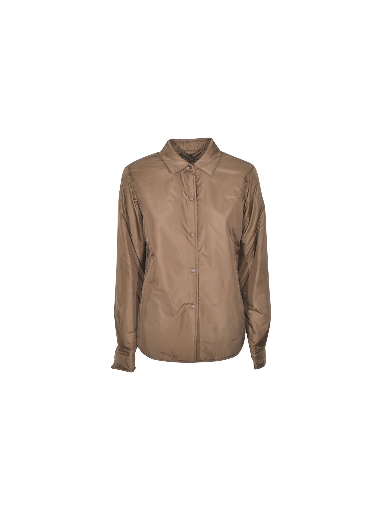 camicia glue 