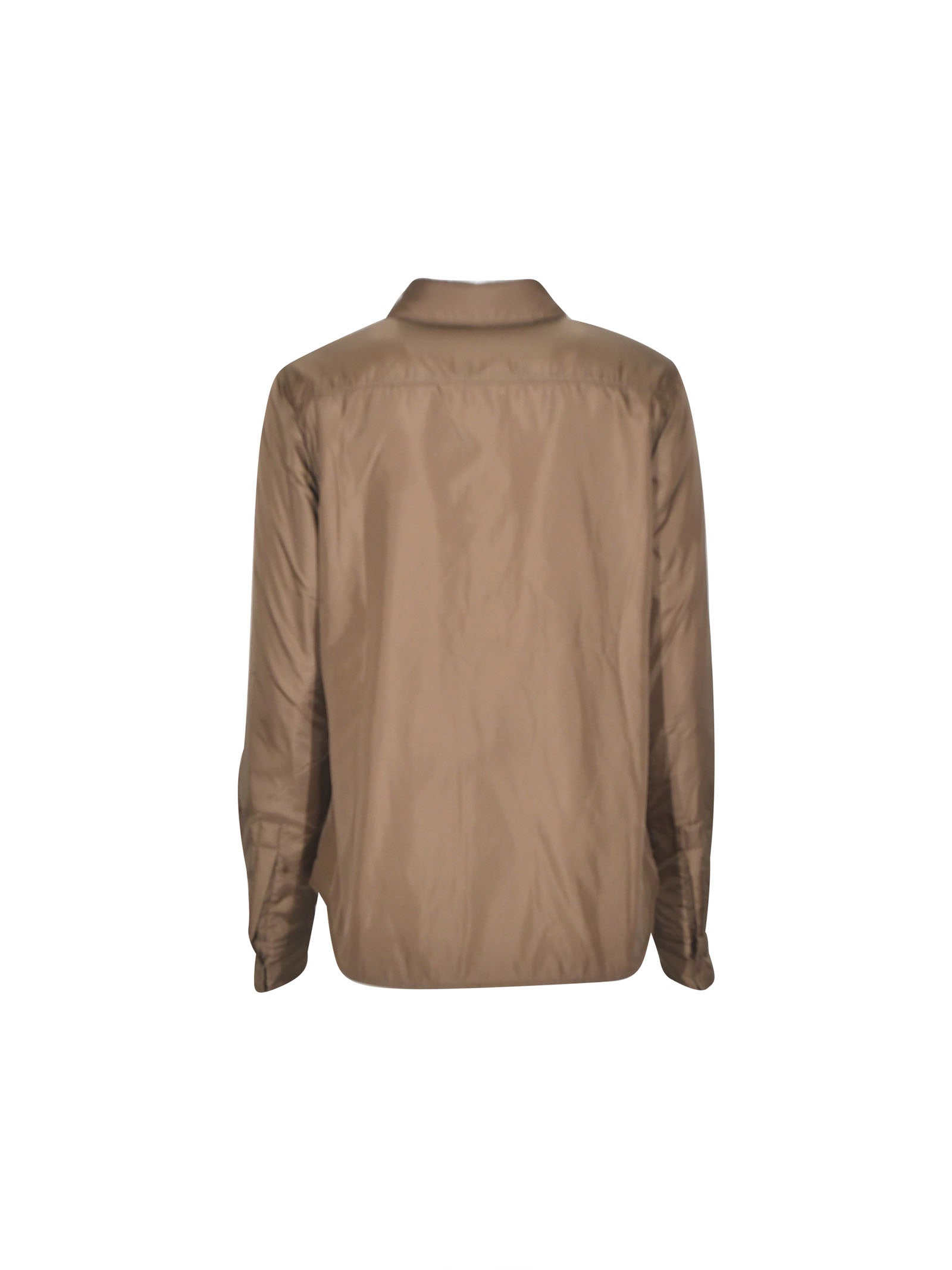 camicia glue 