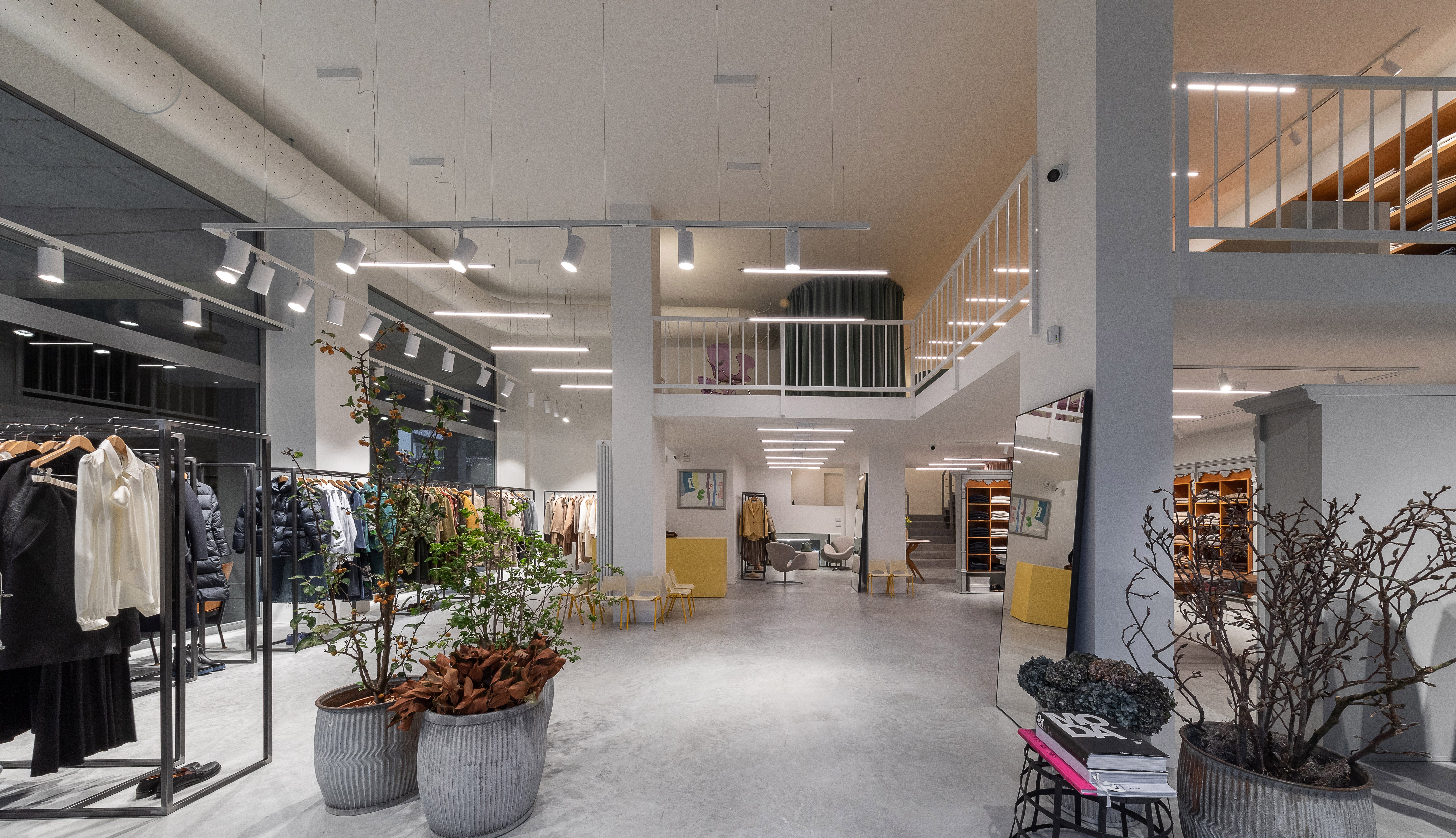 Immagine diapositiva