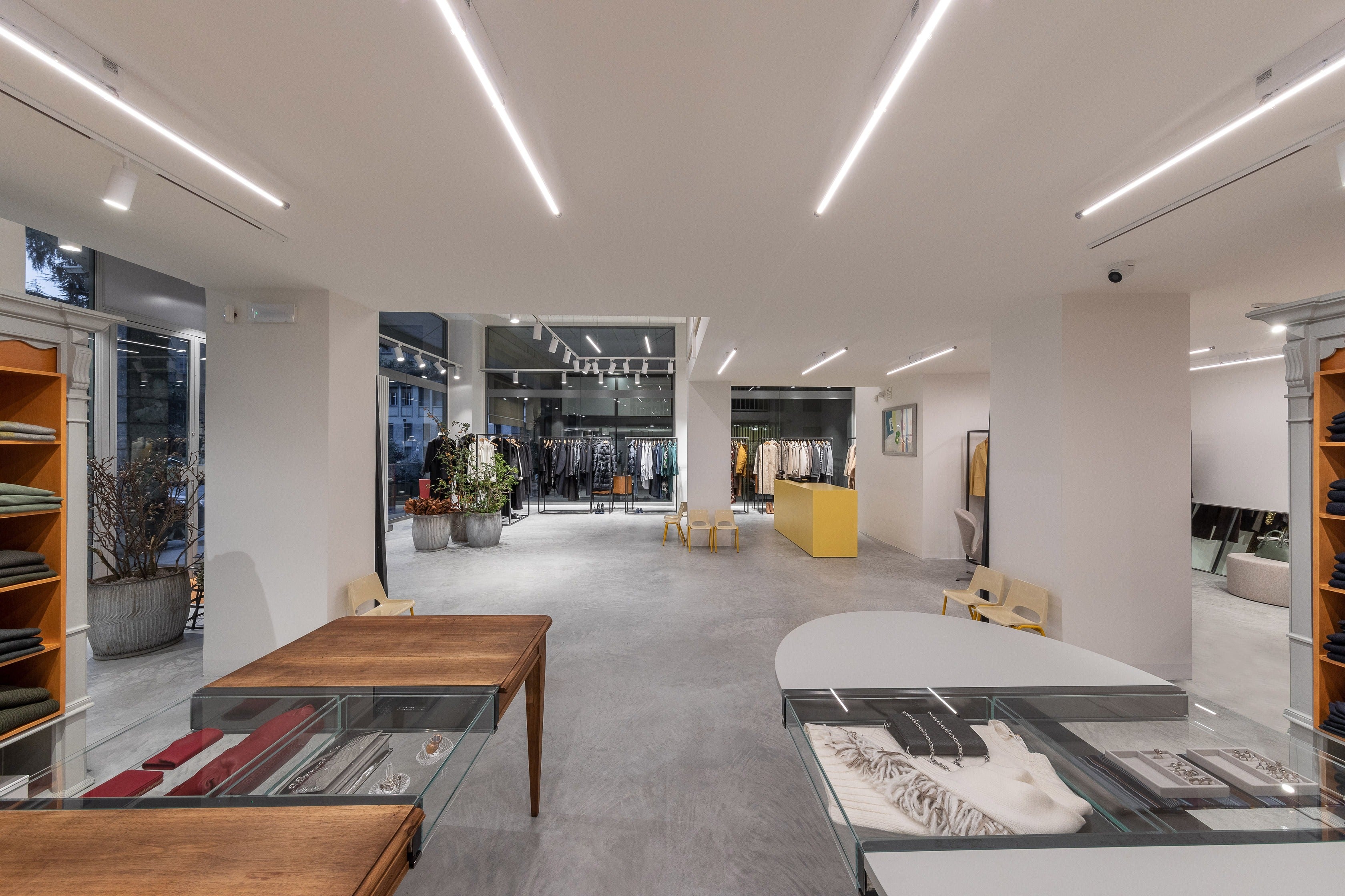 Immagine diapositiva