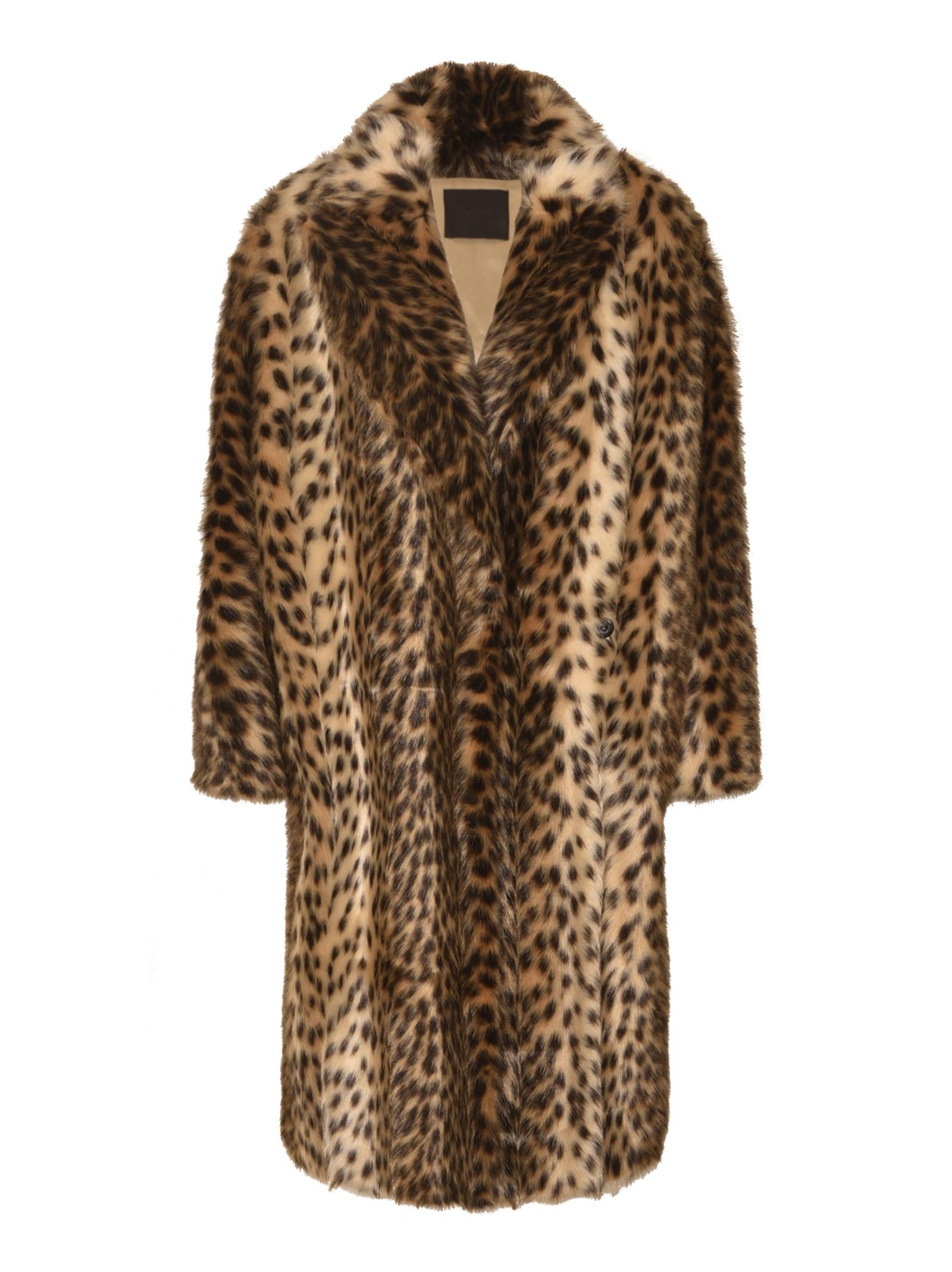 ecopellicia  ocelot 